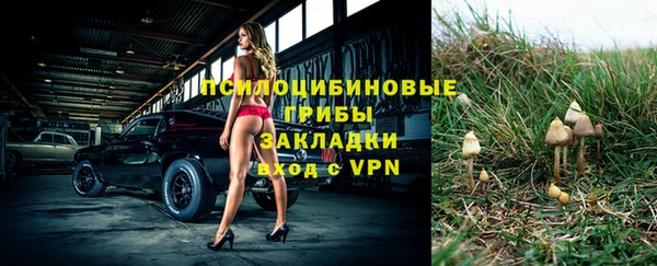 амф Алексеевка