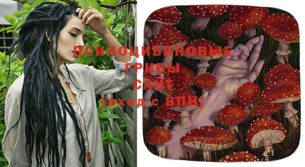 амф Алексеевка
