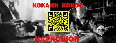 индика Гатчина