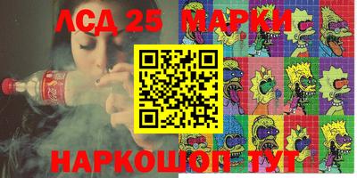 индика Гатчина