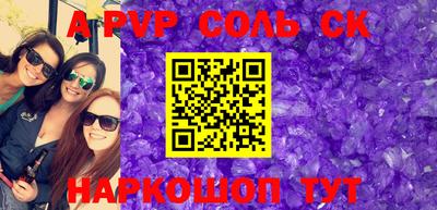 индика Гатчина