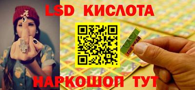индика Гатчина