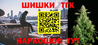 индика Гатчина