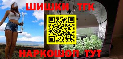 индика Гатчина