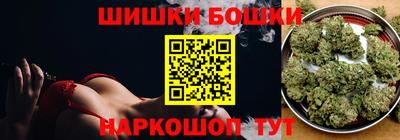индика Гатчина