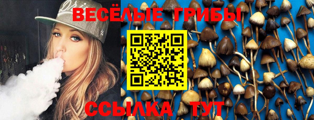Псилоцибиновые грибы Psilocybe Удомля